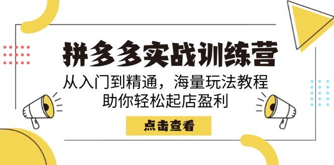 拼多多实战训练营：从入门到精通的全方位起店盈利指南-聚合资源库