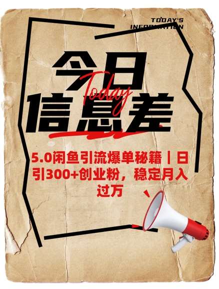 闲鱼引流爆单实战指南：日引300+精准创业粉，轻松实现月入过万-聚合资源库