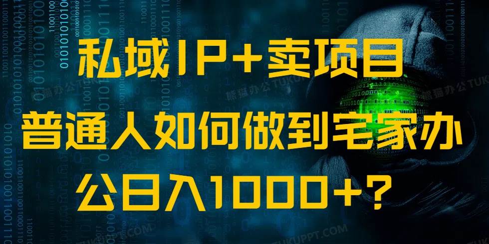 私域IP与卖项目结合，普通人宅家办公轻松实现日入1000+的秘诀-聚合资源库