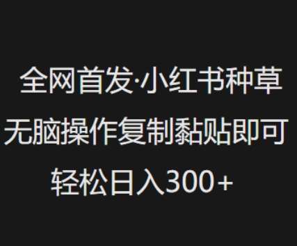 小红书种草秘籍：无脑复制黏贴，日入3张轻松实现-聚合资源库