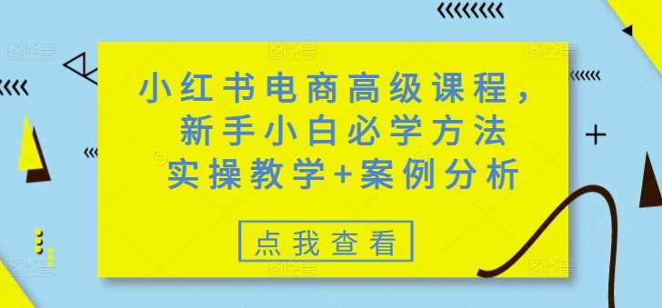 小红书电商新手实操指南：从零到精通的高级课程与案例分析-聚合资源库