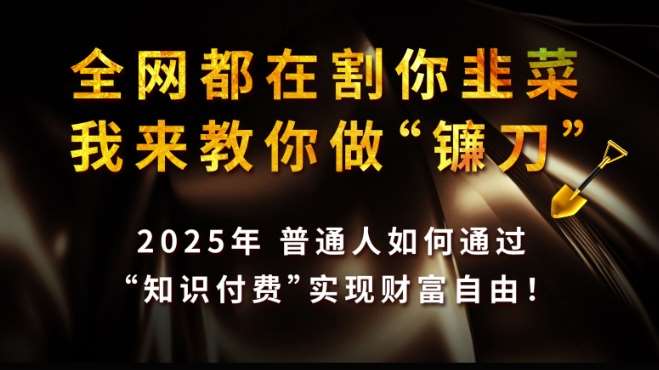 2025年普通人如何通过知识付费实现财富自由：揭秘成为镰刀的秘诀-聚合资源库
