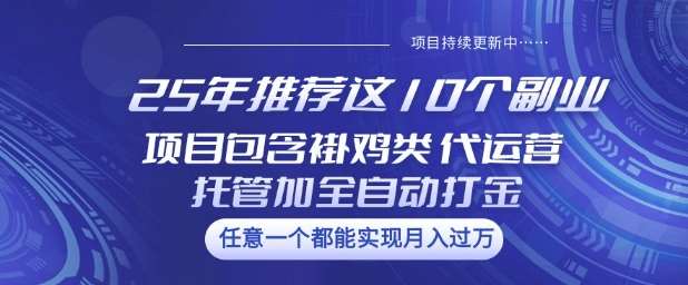 2025年最赚钱的10个副业推荐：褂鸡类、代运营托管、全自动打金项目揭秘-聚合资源库