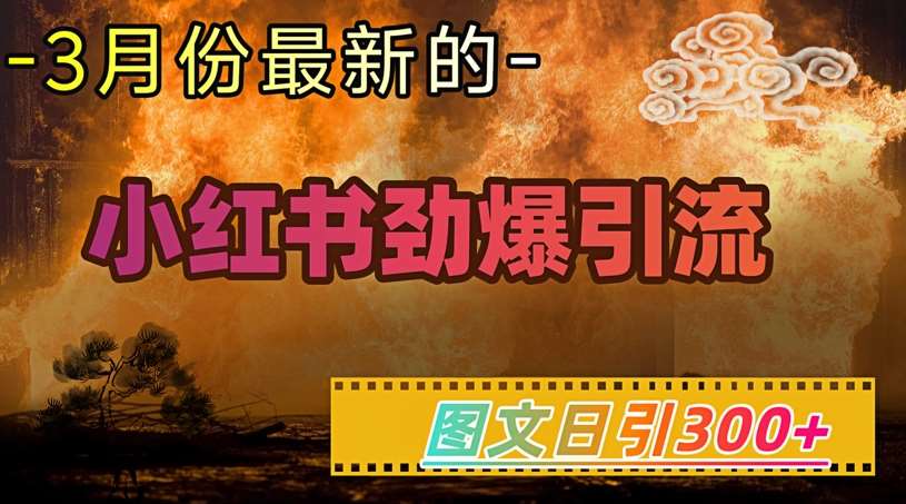 小红书爆款引流秘籍：日增300精准粉丝，轻松实现月入过万-聚合资源库