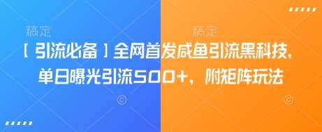 咸鱼引流黑科技揭秘：单日曝光500+的矩阵玩法全攻略-聚合资源库