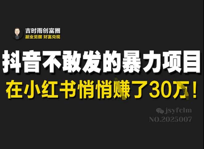 小红书隐藏暴利项目揭秘：轻松月入30W的赚钱秘籍-聚合资源库