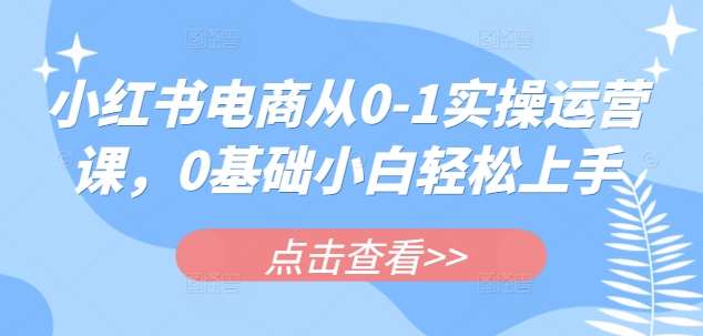 小红书电商新手速成指南：从零基础到轻松上手的实操运营课-聚合资源库