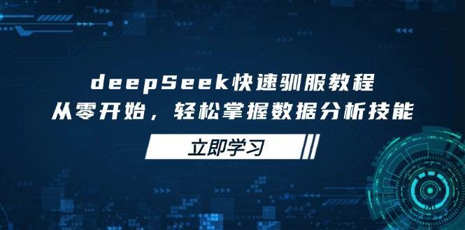从零开始掌握数据分析技能：快速驯服DeepSeek的终极指南-聚合资源库