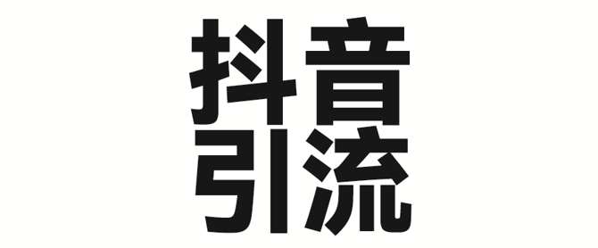2025抖音暴力引流秘籍：单日吸引300+创业粉的简单操作技巧-聚合资源库