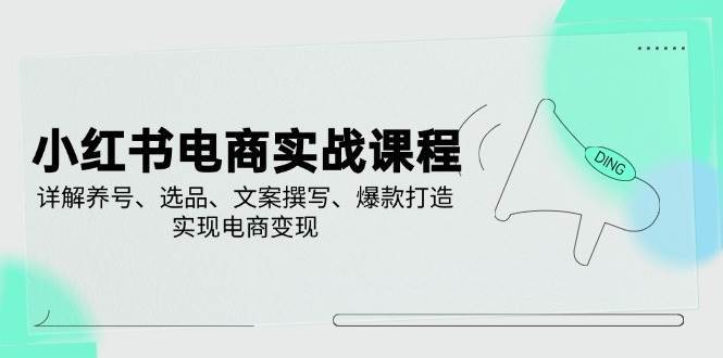 小红书电商变现实战指南：养号选品文案爆款打造全攻略-聚合资源库