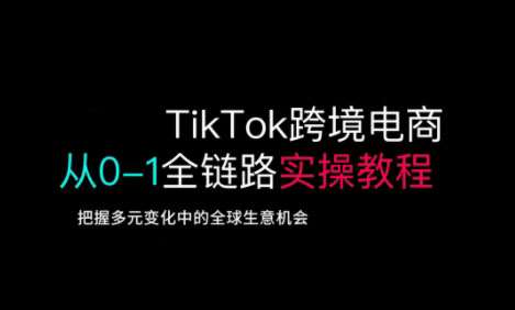 TikTok跨境电商从0到1全链路实操指南：抓住全球商机实现高效变现-聚合资源库