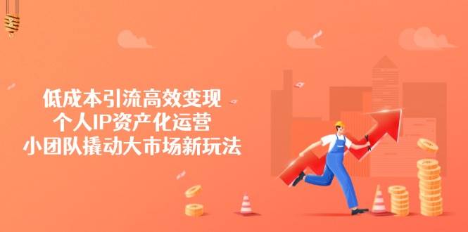 低成本引流高效变现策略：个人IP资产化运营与小团队撬动大市场新玩法-聚合资源库