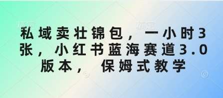 私域壮锦包销售秘籍：一小时3单，小红书蓝海赛道实战指南-聚合资源库