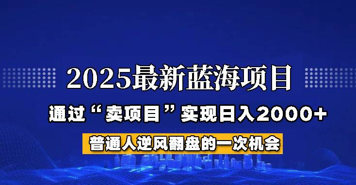 2025年蓝海项目揭秘：如何通过网创项目实现日入2000+的财富增长-聚合资源库