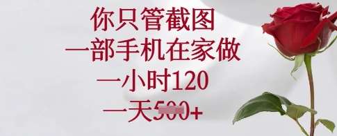 一部手机在家轻松截图，一小时赚120元，日入5张揭秘-聚合资源库