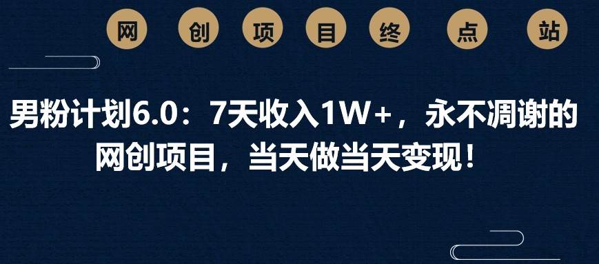 7天收入过万的男粉变现计划：当天操作当天见效的网创项目-聚合资源库