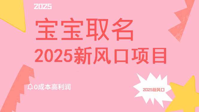 2025新风口项目：0成本高利润宝宝取名保姆级教程，月入过万轻松实现-聚合资源库