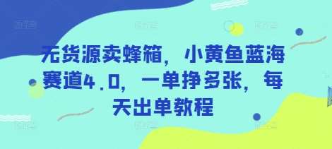 无货源蜂箱销售秘籍：小黄鱼蓝海赛道每日出单技巧，轻松实现一单多利-聚合资源库