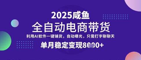 闲鱼全自动电商带货三年实战经验分享，单月稳定变现8k+的秘诀揭秘-聚合资源库