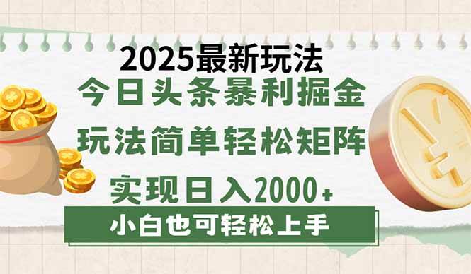 2025今日头条最新玩法：简单思路复制粘贴，矩阵操作日入2000+-聚合资源库