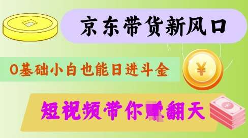 京东短视频带货代运营秘籍：揭秘轻松躺赚的实战技巧-聚合资源库