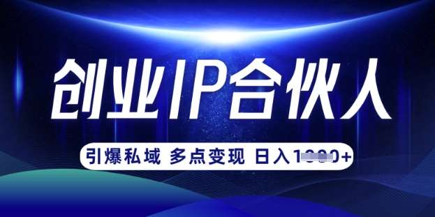 从0到1打造网创IP合伙人，月入过万的创业实战指南-聚合资源库