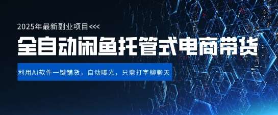 闲鱼全自动电商带货实战指南：三年经验分享，单日稳定变现技巧揭秘-聚合资源库