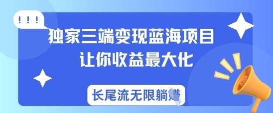 独家三端变现蓝海项目优化策略：收益最大化与长尾流躺赚秘籍-聚合资源库