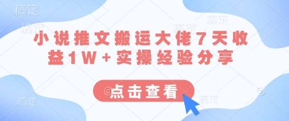 “小说推广达人揭秘：7天轻松赚取1W+的实战秘诀”-聚合资源库