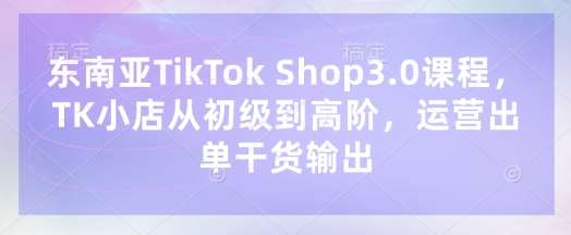 掌握东南亚TikTok Shop：从新手到专家的全方位运营攻略-聚合资源库