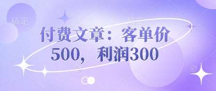 “揭秘：如何通过500元客单价实现300元利润的营销秘诀”-聚合资源库