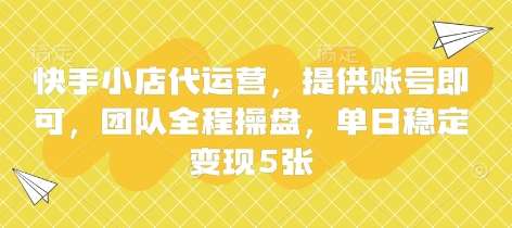 快手小店代运营：专业团队打造，日均5倍收益的秘诀解析-聚合资源库