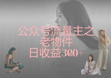 “揭秘！老物件如何日赚300+：流量主的秘密武器”-聚合资源库