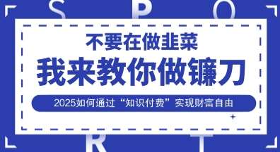 “2025年如何借助知识付费实现财务自由：专家揭秘成功策略”-聚合资源库