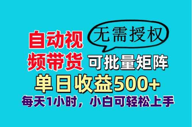 “自动视频带货秘诀：日赚500+的批量矩阵策略，小白也能轻松上手！”-聚合资源库