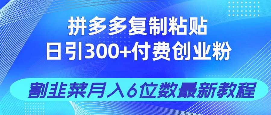 拼多多高效引流秘籍：日增300+付费粉丝，打造月入过万的创业项目！-聚合资源库
