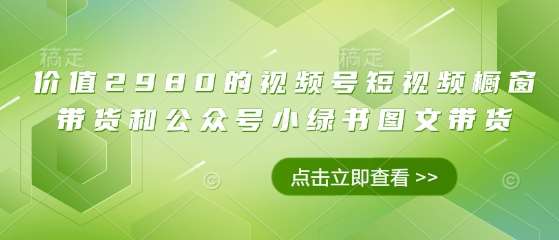 “发现好物：2980元超值视频号橱窗精选，揭秘隐藏在小绿书中的购物秘籍！”-聚合资源库