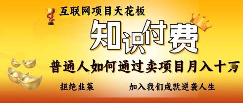 “互联网项目盈利秘诀：普通人如何实现月入十万的付费项目销售技巧”-聚合资源库