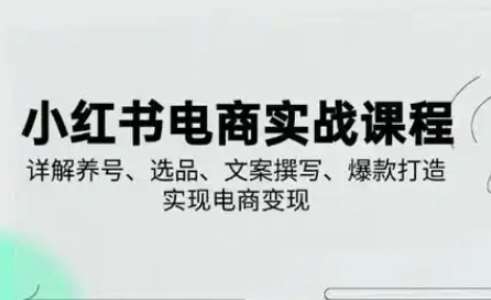 “小红书电商变现全攻略：养号技巧、选品秘籍、文案撰写与爆款打造”-聚合资源库