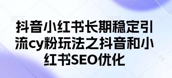 “掌握抖音小红书流量密码：SEO优化策略揭秘”-聚合资源库