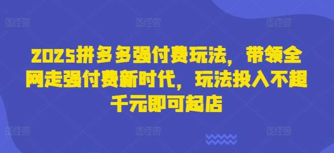 “2025拼多多强付费战略：千元起步的全网盈利新篇章”-聚合资源库
