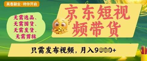 京东短视频带货秘籍：轻松开启零门槛躺赚时代-聚合资源库