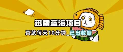 迅雷浏览器项目深度优化：高效策略与热点分析指南-聚合资源库