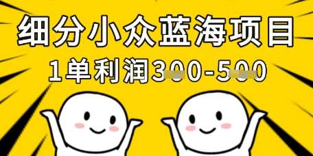 “小众市场掘金：每月轻松过万的秘密武器”-聚合资源库