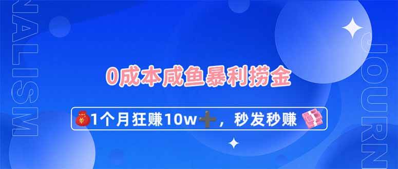 《揭秘闲鱼零成本暴利策略：30天速赚10万元的秘诀》-聚合资源库