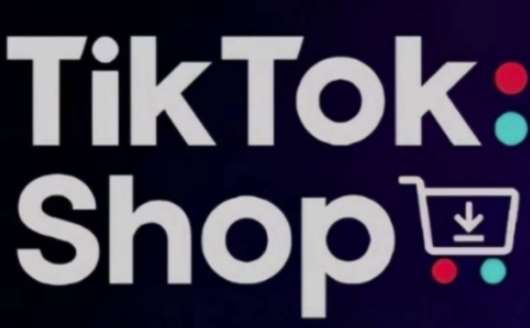 “低成本启动TikTok Shop：跨境电商实战秘籍”-聚合资源库