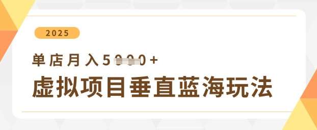 “如何优化虚拟项目：单店月入突破5000+的盈利秘诀”-聚合资源库