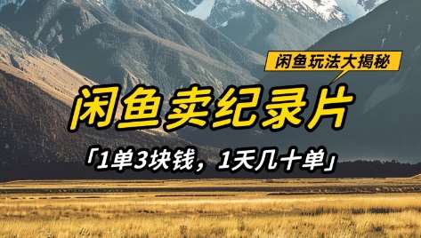 揭秘：日入百元的纪录片销售秘诀，闲鱼平台的赚钱新策略！-聚合资源库