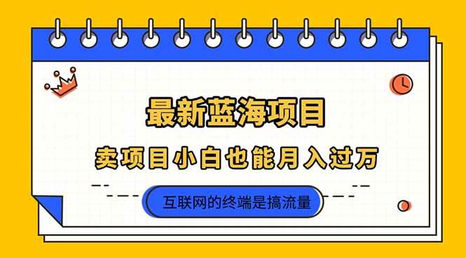 “2025年蓝海项目揭秘：新手也能轻松月入过万的秘密”-聚合资源库