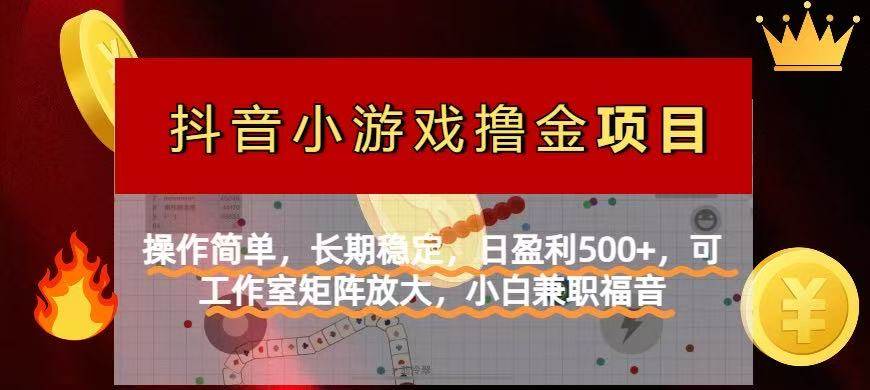 抖音小游戏发行人计划：轻松操作，稳定日赚500+的赚钱秘诀-聚合资源库